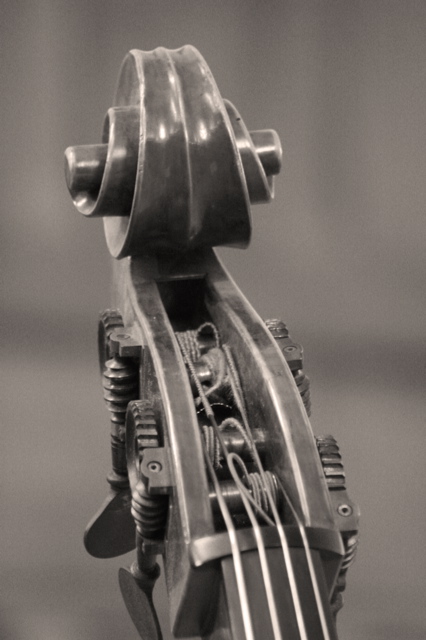 L'Académie de Contrebasse des Concerts Vinteuil 2007