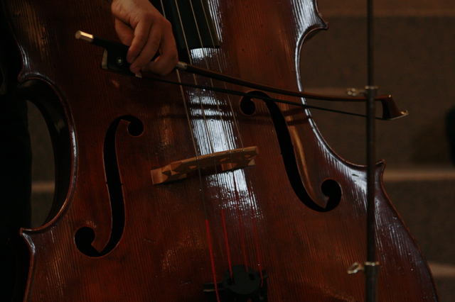 L'Académie de Contrebasse des Concerts Vinteuil 2007